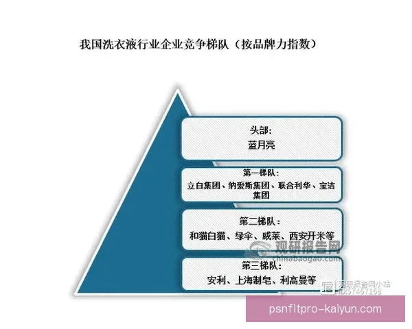 贝肯鲍尔的比赛阅读能力展现出持续提升的趋势与影响力分析